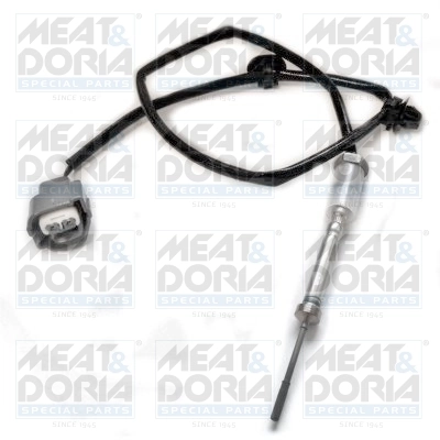 Sensor, exhaust gas temperature